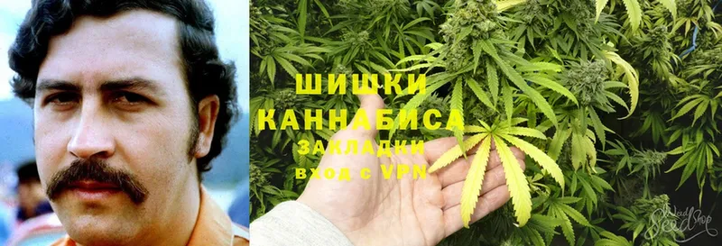 Канабис планчик  купить наркоту  Балашов 